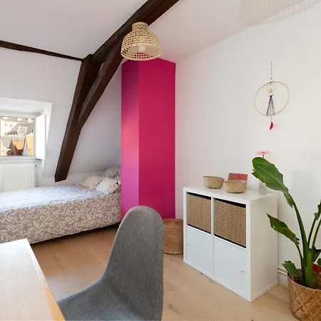 Petite France-cathedrale, Duplex 100m2- 3 * Strasbourg