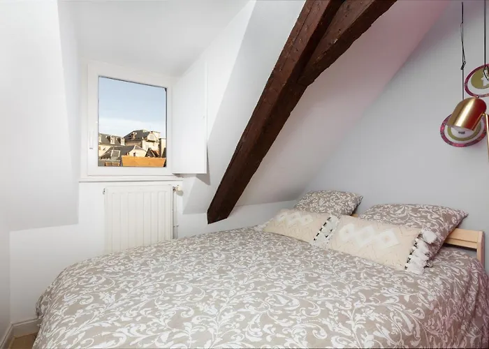 Appartement Petite France-cathedrale, Duplex 100m2- 3 Straatsburg