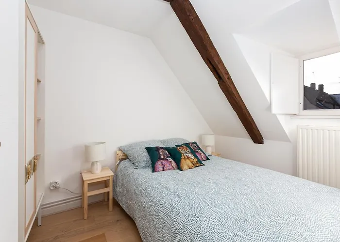 Petite France-cathedrale, Duplex 100m2- 3 * Straatsburg
