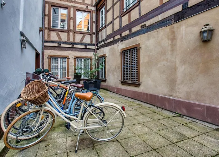 Appartement Petite France-cathedrale, Duplex 100m2- 3 *