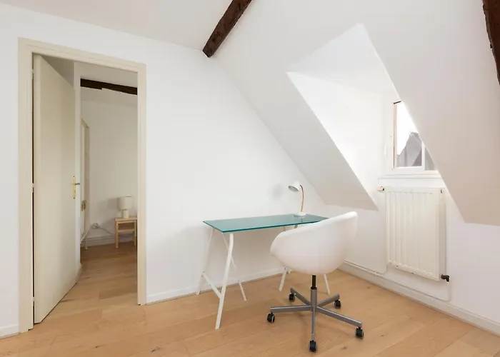 Petite France-cathedrale, Duplex 100m2- 3 * Straatsburg