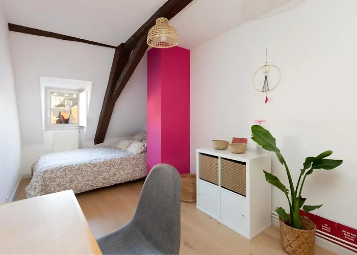 Petite France-cathedrale, Duplex 100m2- 3 * Straatsburg