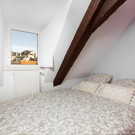 Apartment Petite France-cathedrale, Duplex 100m2- 3 Straßburg