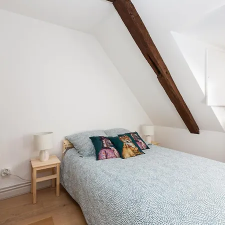 Petite France-cathedrale, Duplex 100m2- 3 * Straßburg